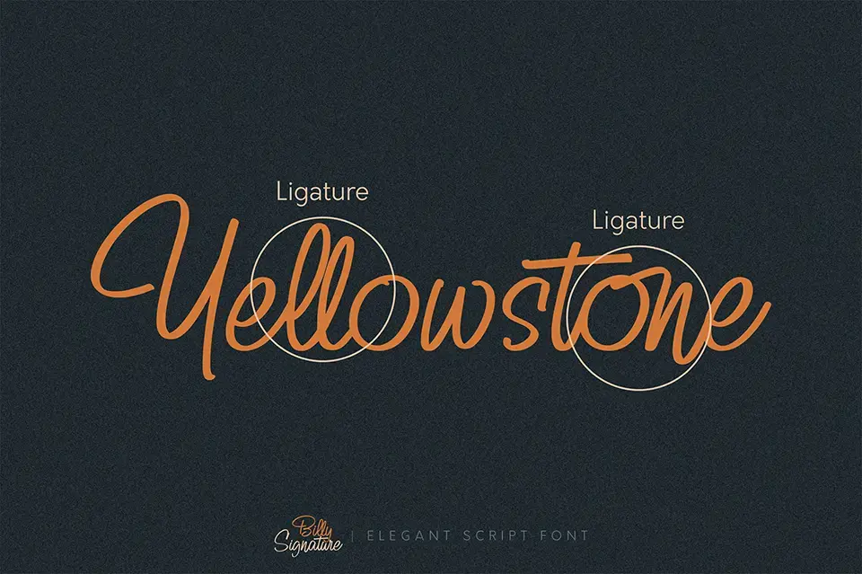 Billy Signature Font