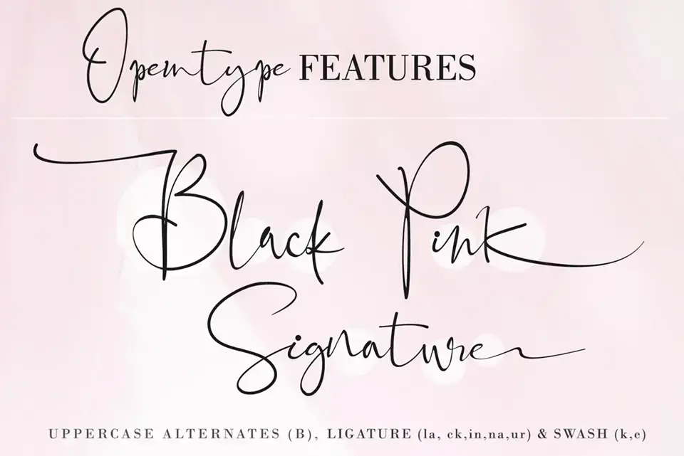 Black Pink Signature Font