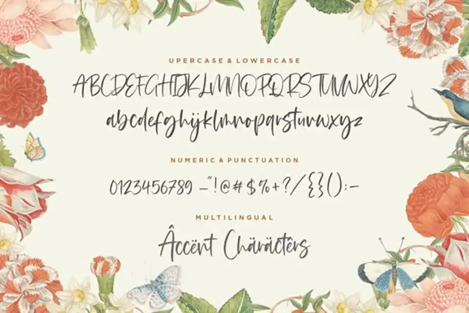 Blackbone Font