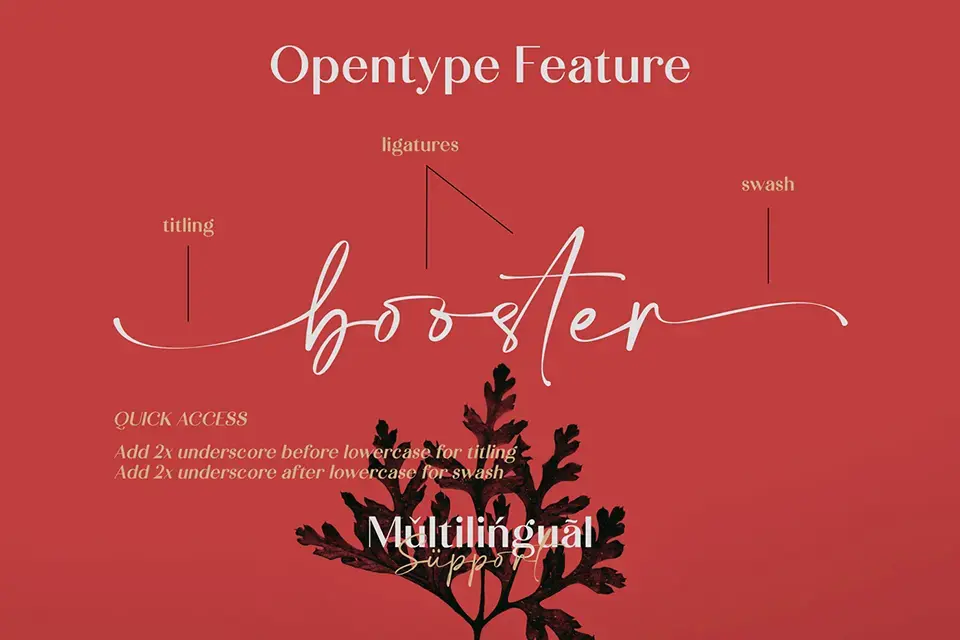 Calton Elegance Script Font