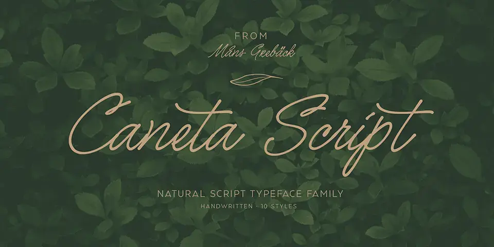 Caneta Script Font