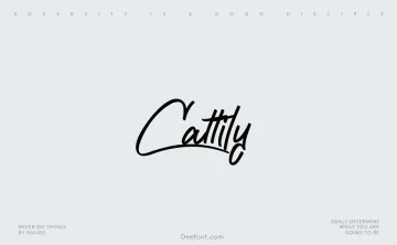 Cattily Font