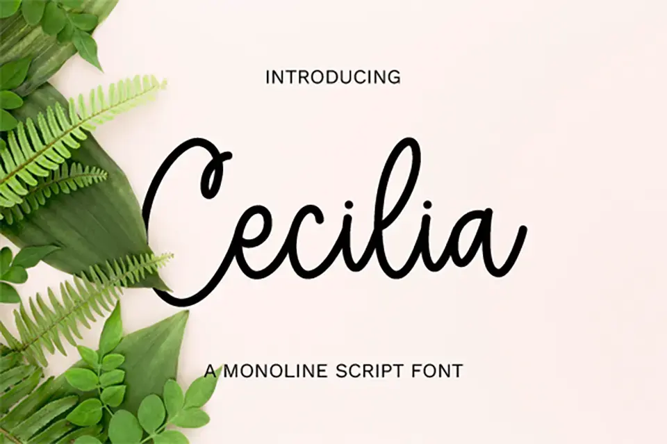 Cecilia Font