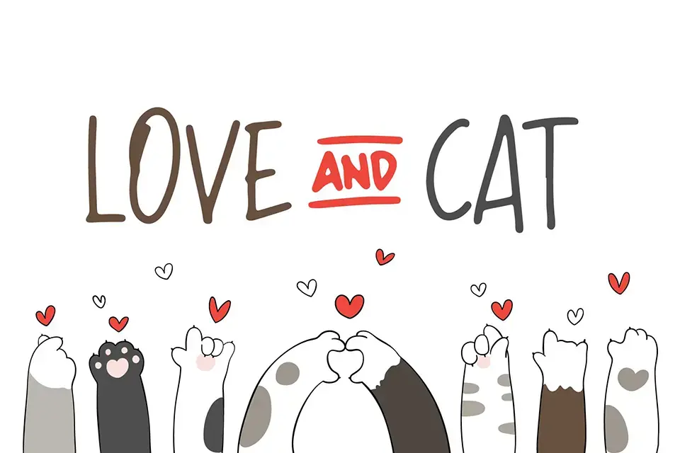 Children Book Kids Font