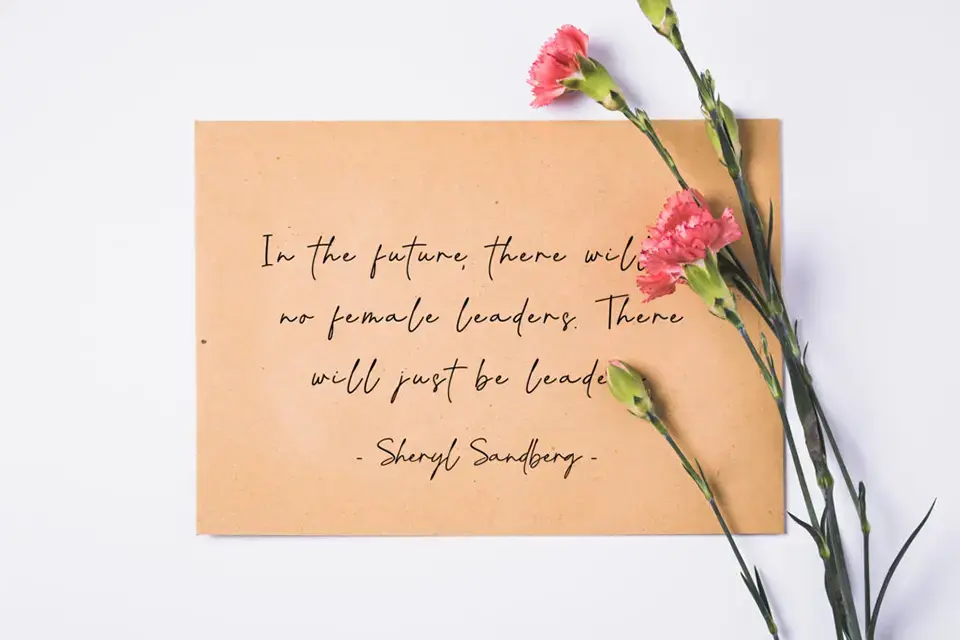 Coastline Calligraphy Script Font