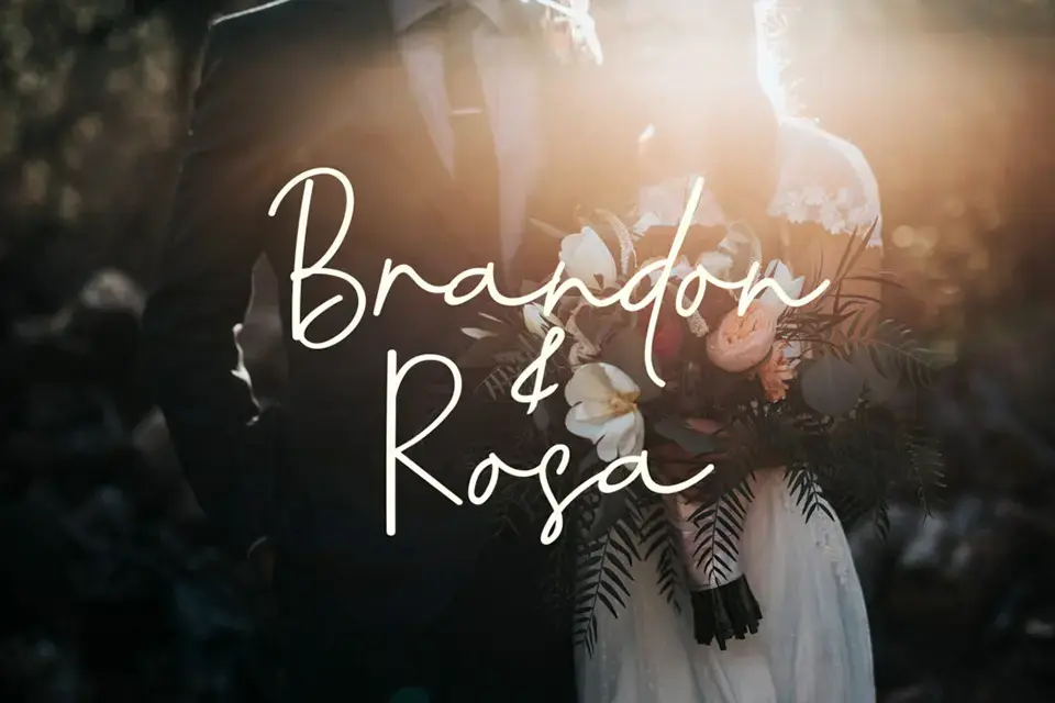 Coastline Calligraphy Script Font