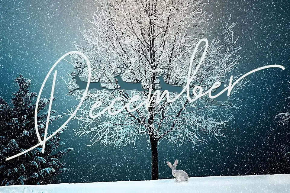 Cutyle Monoline Script Font