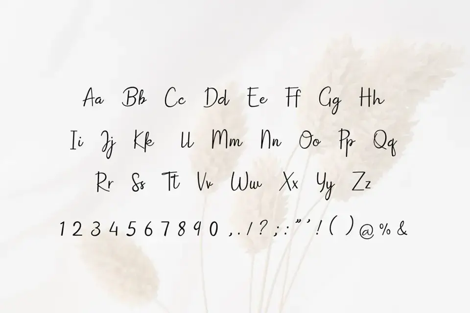 Dish Domine Font