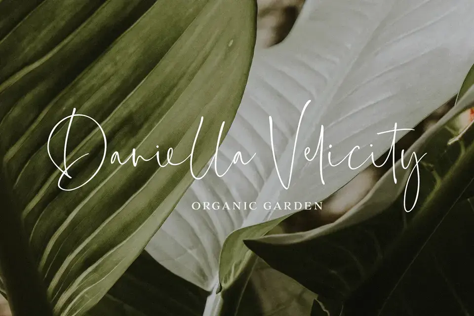 Everleigh Signature Script Font