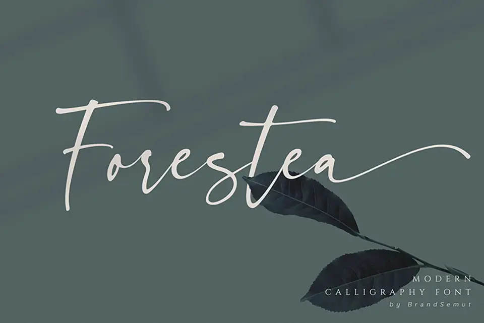 Forestea Script Font