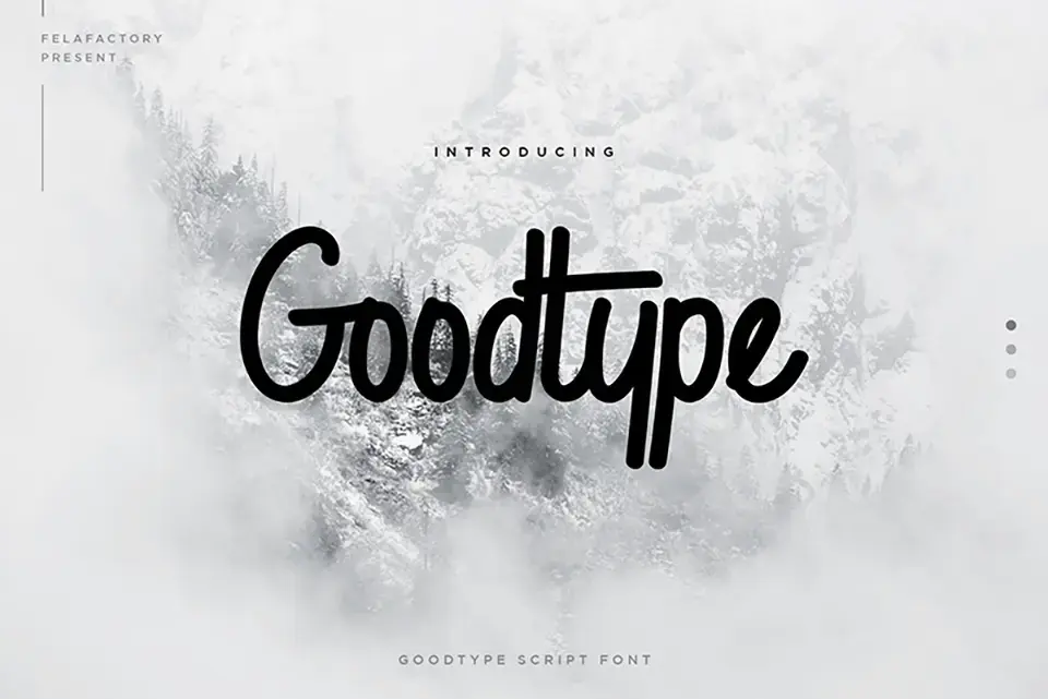 Goodtype Font