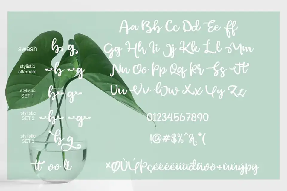 Green Afocado Font