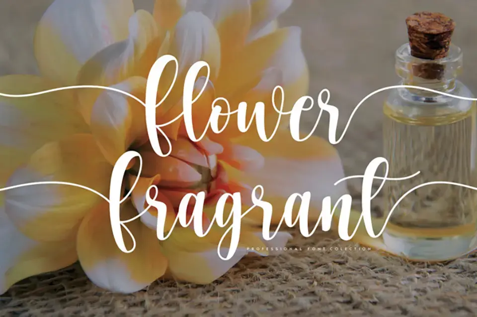 Homework Script Font