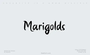 Marigolds Font