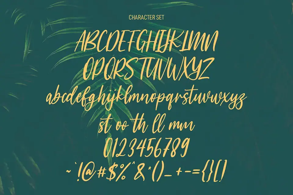 Meganfoxy Font