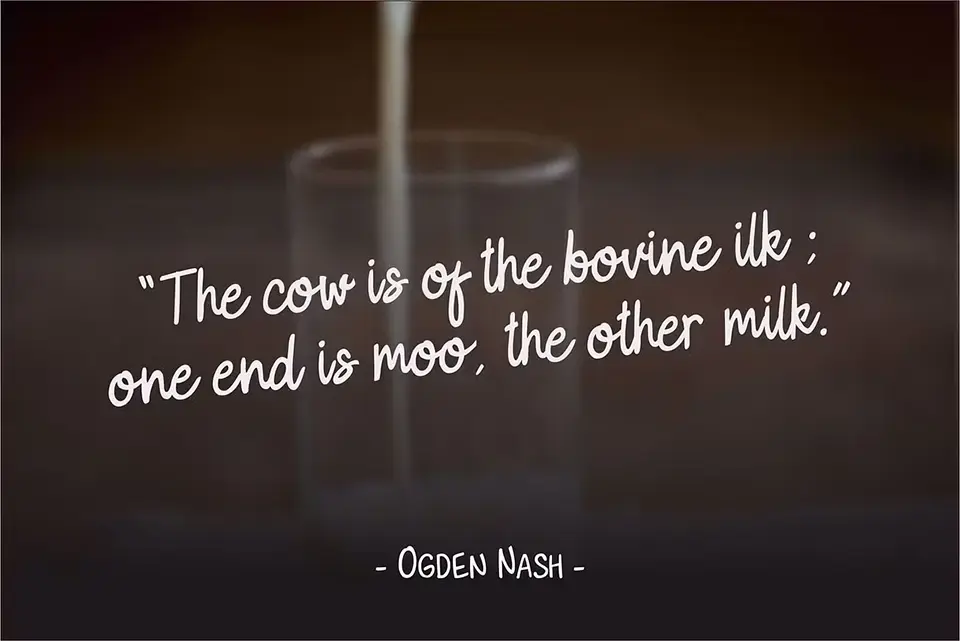 Milky Cookies Script Font