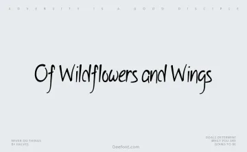 Of Wildflowers and Wings Font
