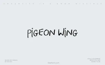 Pigeon Wing Font
