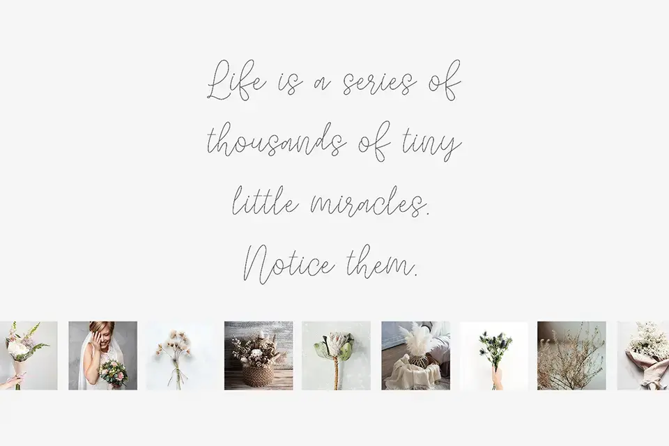 Quietly Rose Single Line Font