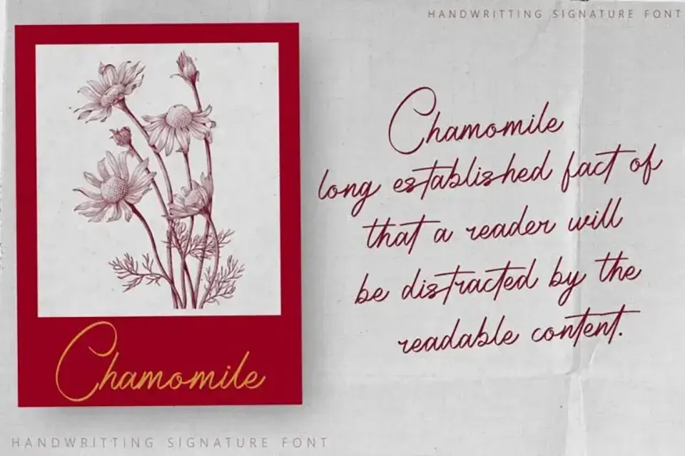 Radiantly Signature Font