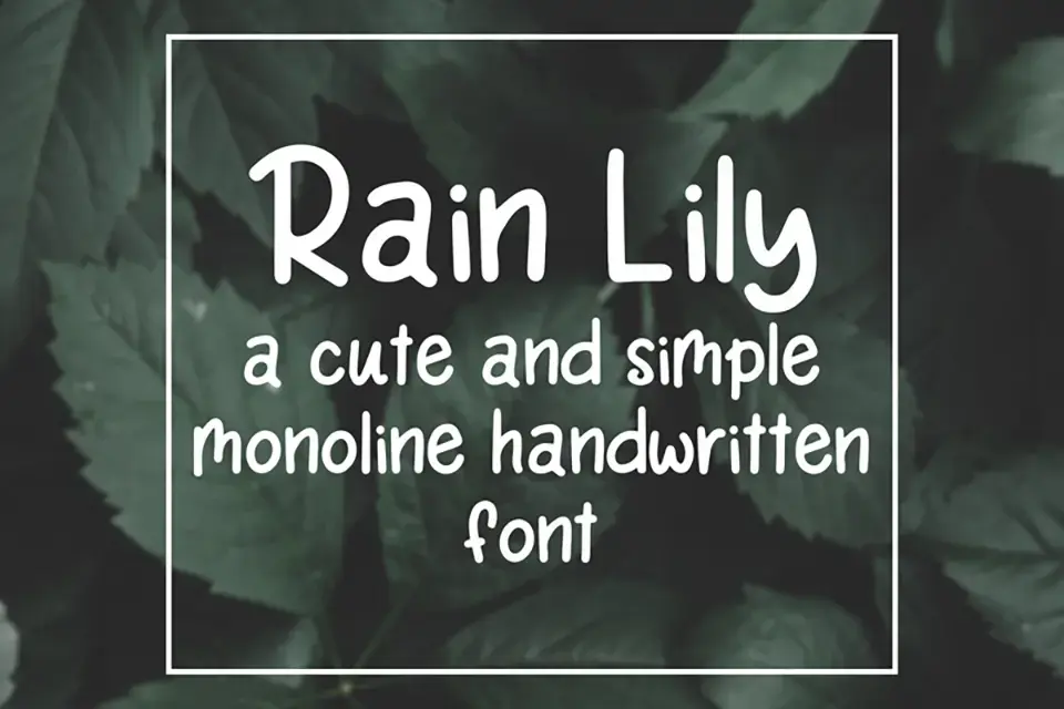 Rain Lily Font