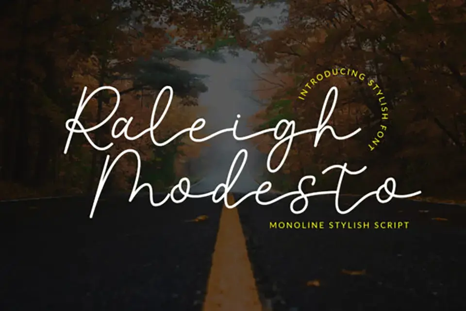 Raleigh Modesto Font