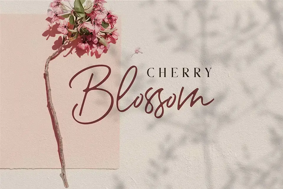 Romantic Couple Script Font