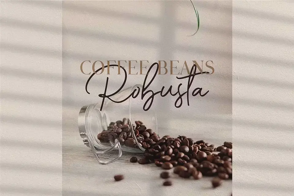 Romantic Couple Script Font