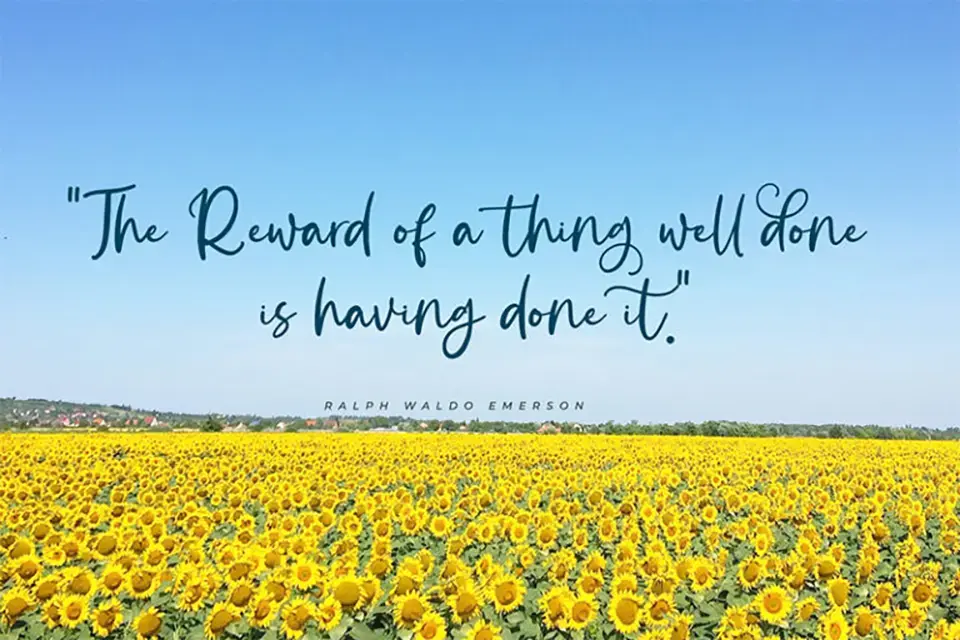 Starling Bright Font