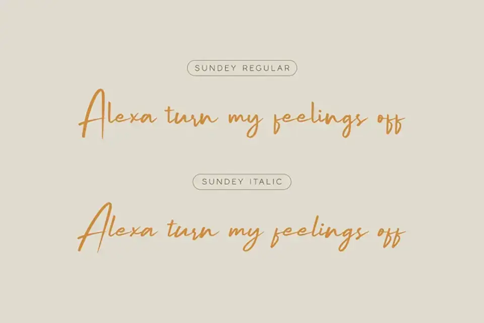 Sundey Font